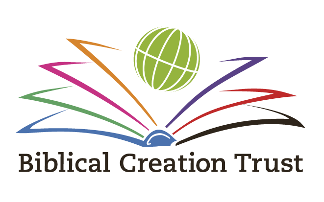 The Cambridge House Project